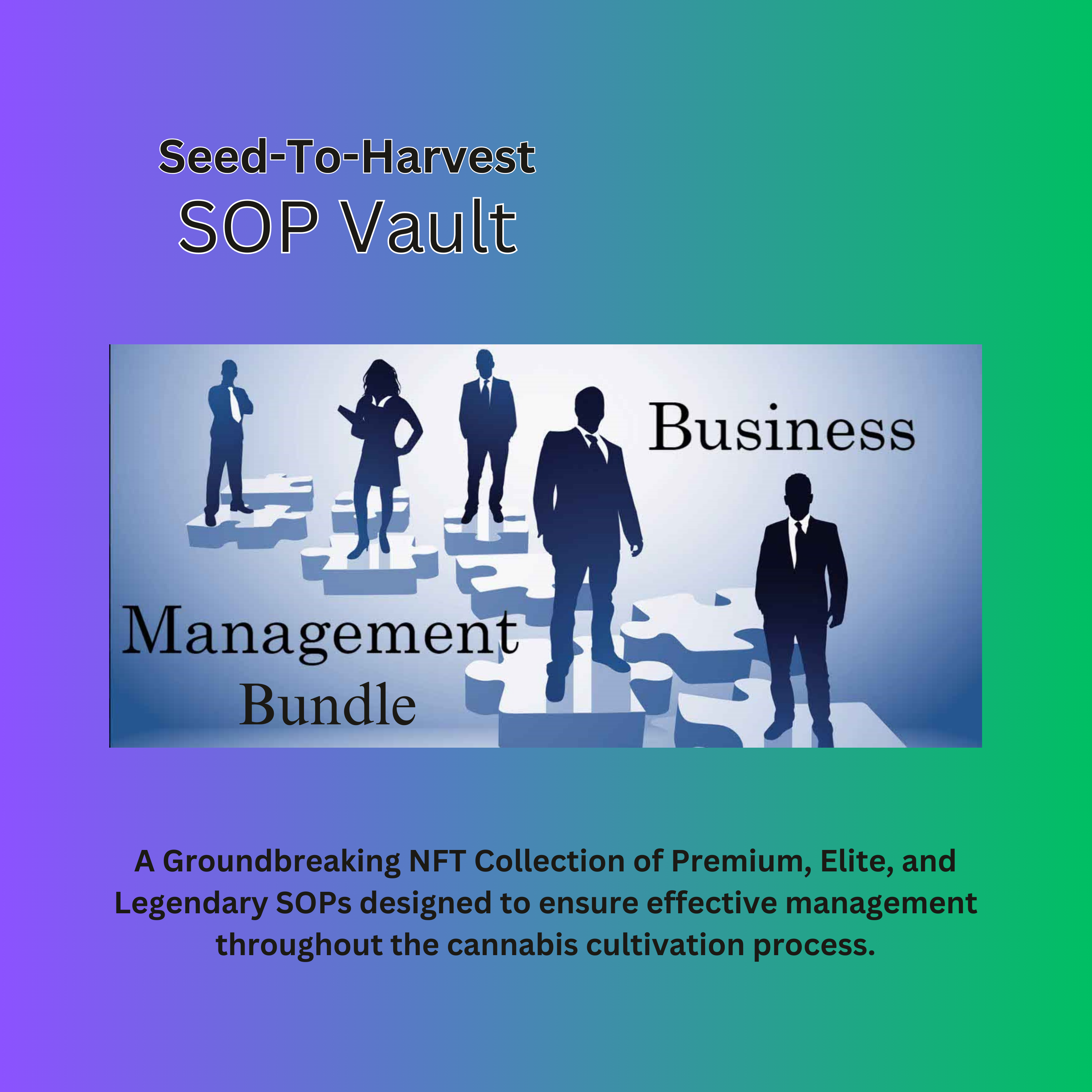 HBAR NFT Collection Business Management Bundle